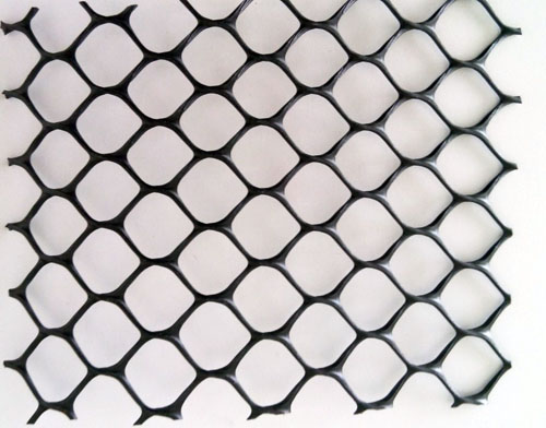 �����W(w��ng)