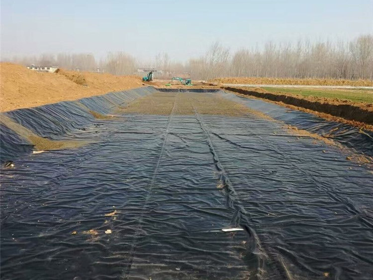 B(yng)ֳB1.jpg B(yng)ֳB1.jpg